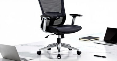 10 Best Ergonomic Office Chairs for QA Professionals in 2026