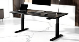 8 Best High End Standing Desk for Home Office in 2026
